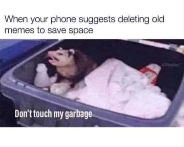 When your phone suggests deleting old memes to save space.  Don't touch my garbage.