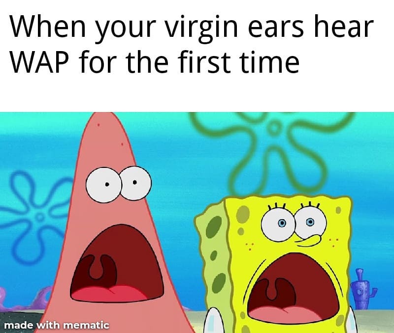 When your virgin ears hear WAP for the first time.