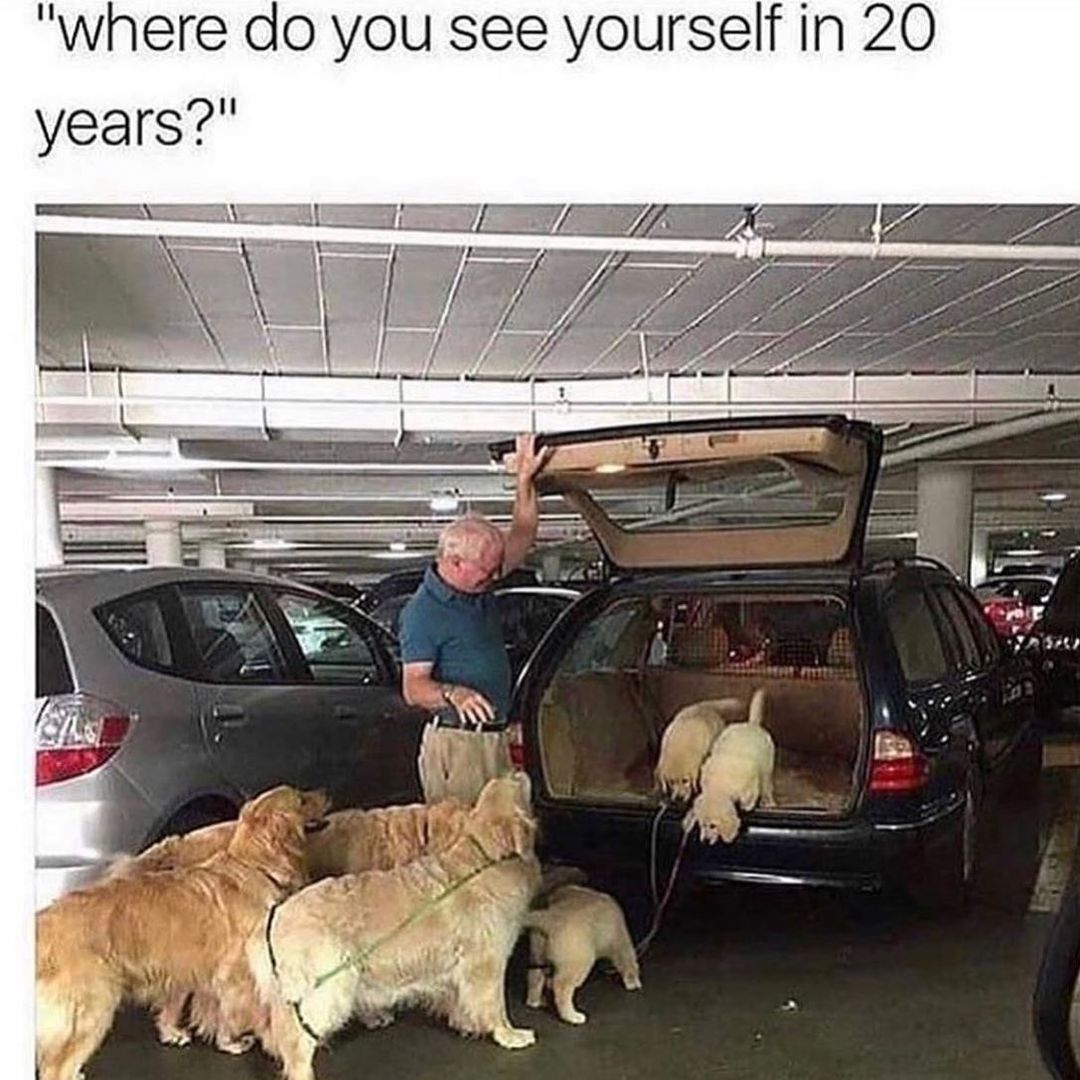 Where do you see yourself in 20 years?