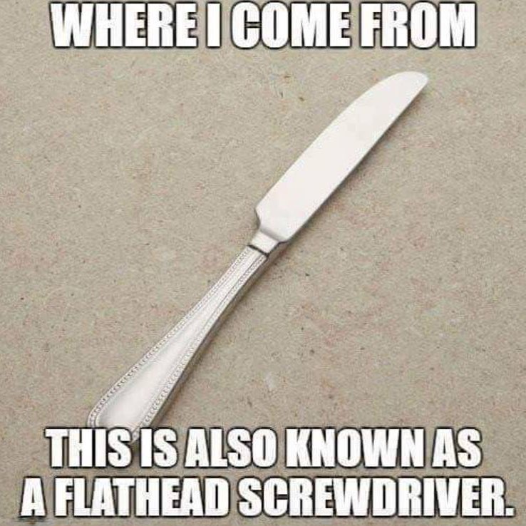 Where I come from this is also known as a flathead screwdriver.