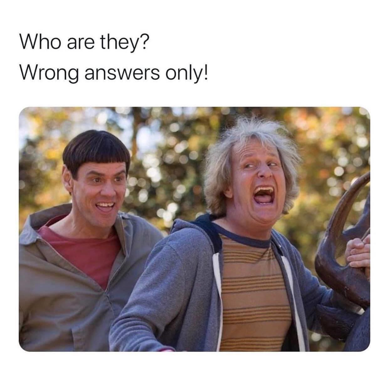Who Are They Wrong Answers Only Funny