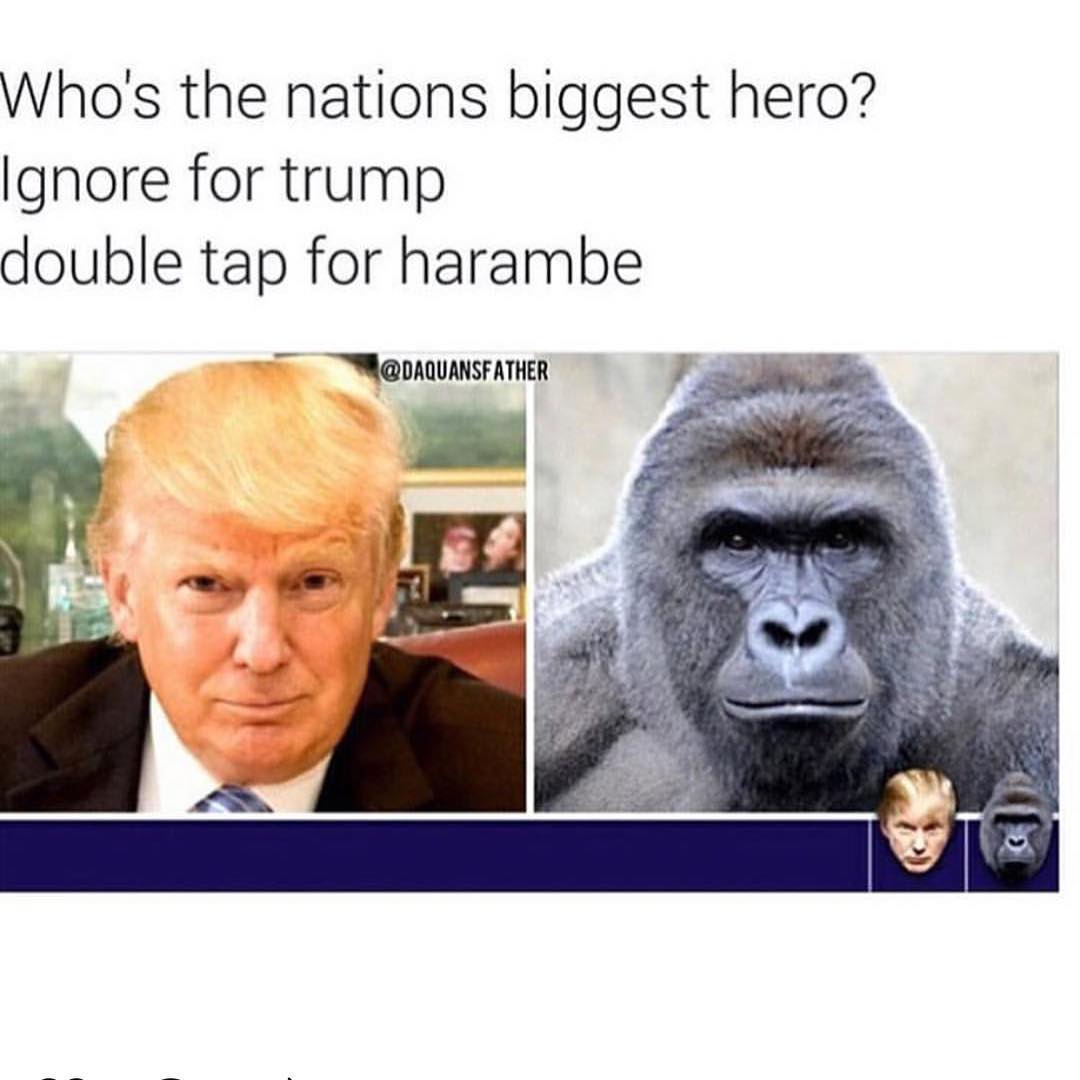 Who's the nations biggest hero? Ignore for Trump double tap for harambe.