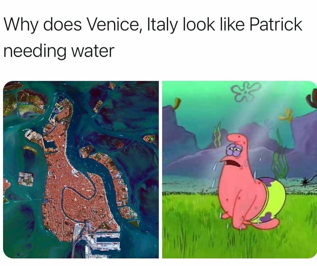 Why does Venice, Italy look like Patrick needing water.