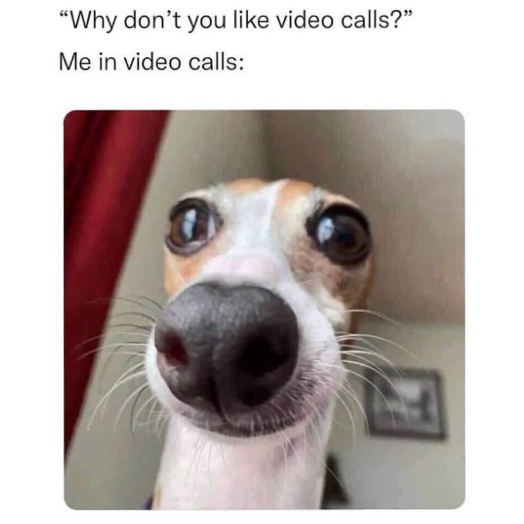 "Why don't you like video calls?" Me in video calls: