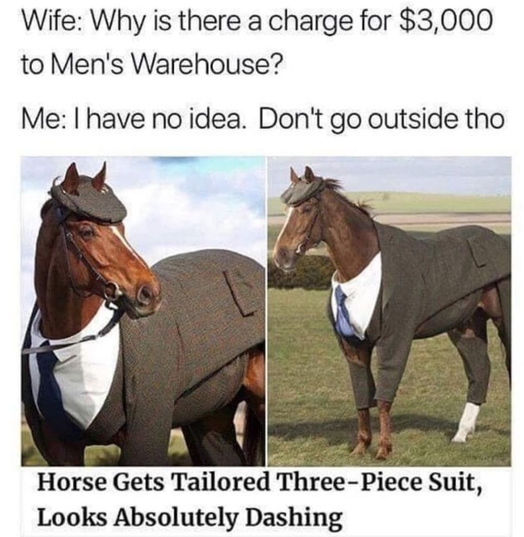 Wife: Why is there a charge for $3,000 to Men's Warehouse?  Me: I have no idea. Don't go outside tho  Horse Gets Tailored Three-Piece Suit, Looks Absolutely Dashing.
