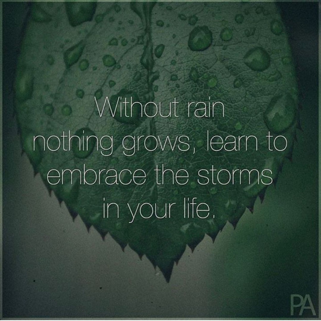 Without rain nothing grows, learn to embrace in your life.