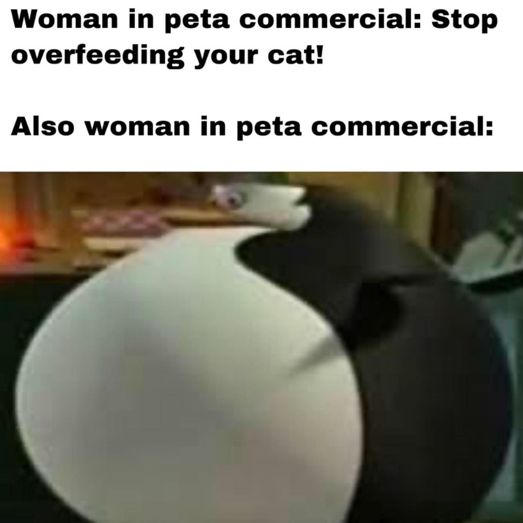 Woman in peta commercial: Stop overfeeding your cat! Also woman in peta commercial: