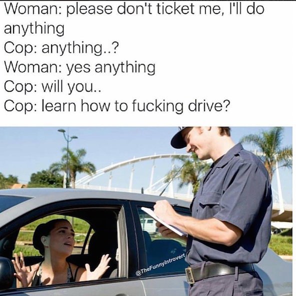 Woman: Please don't ticket me, I'll do anything.  Cop: anything..?  Woman: yes anything.  Cop: will you..  Cop: learn how to fucking drive?