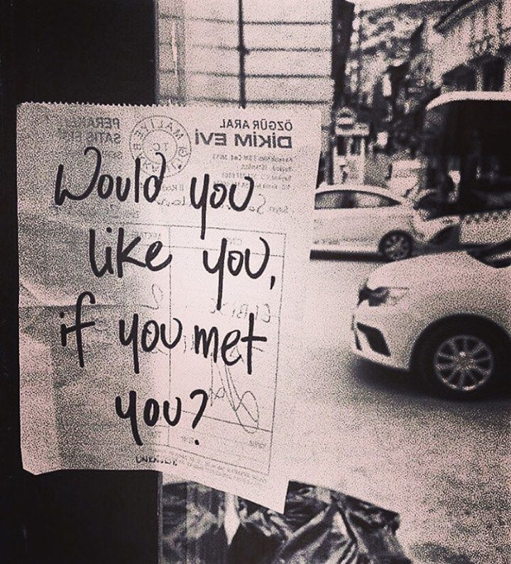 Would You Like You If You Met You Meaning