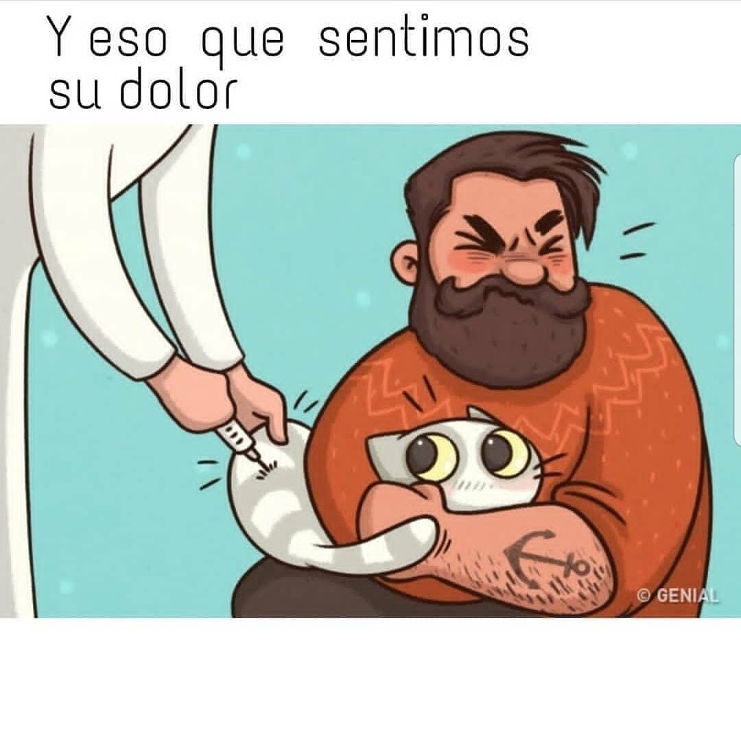 Y eso que sentimos su dolor.