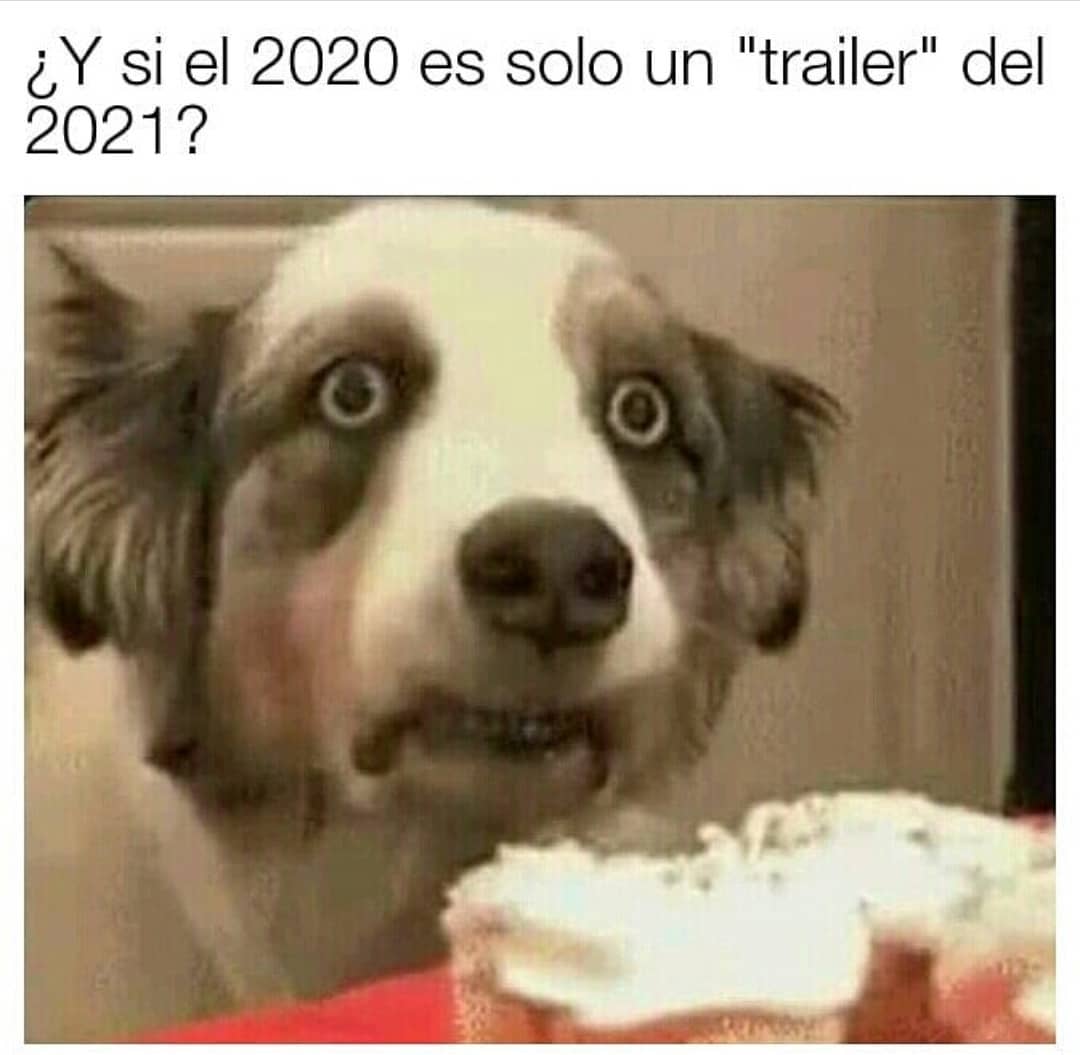 ¿Y si el 2020 es solo un "trailer" del 2021?