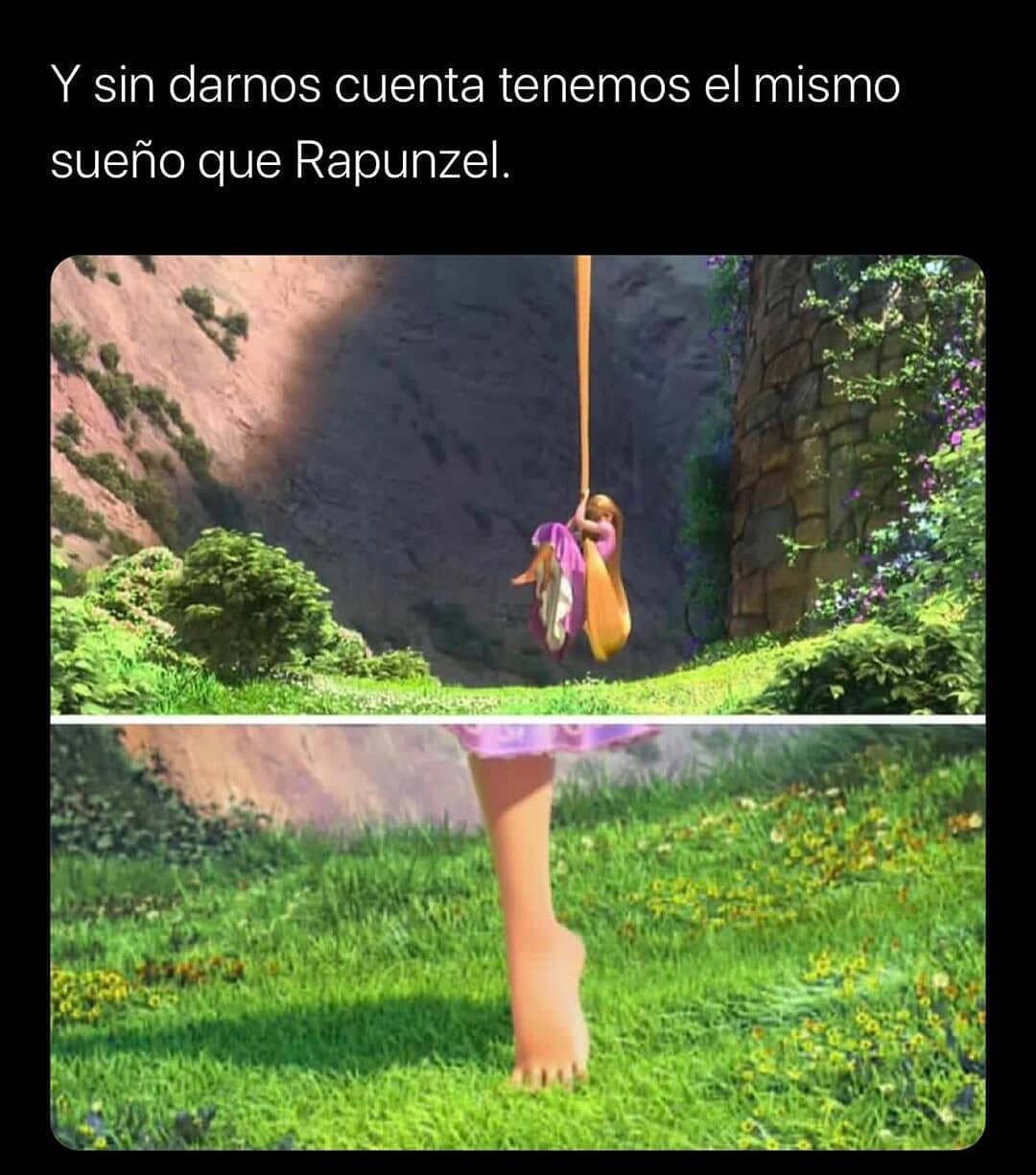Y sin darnos cuenta tenemos el mismo sueño que Rapunzel.