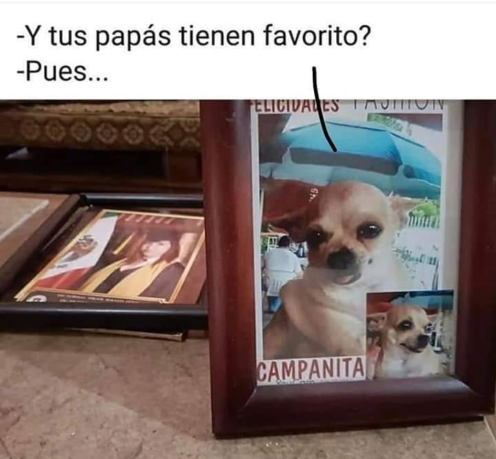 Y tus papás tienen favorito? Pues...