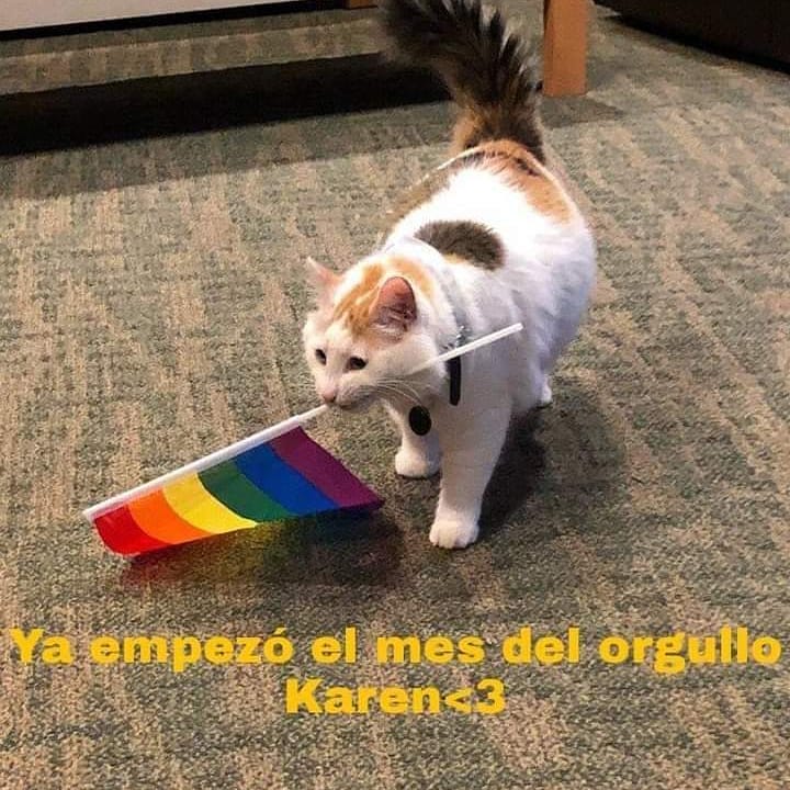 Ya empezó el mes del orgullo Karen.