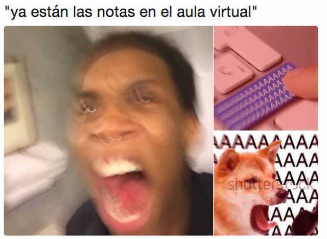 "Ya están las notas en el aula virtual".