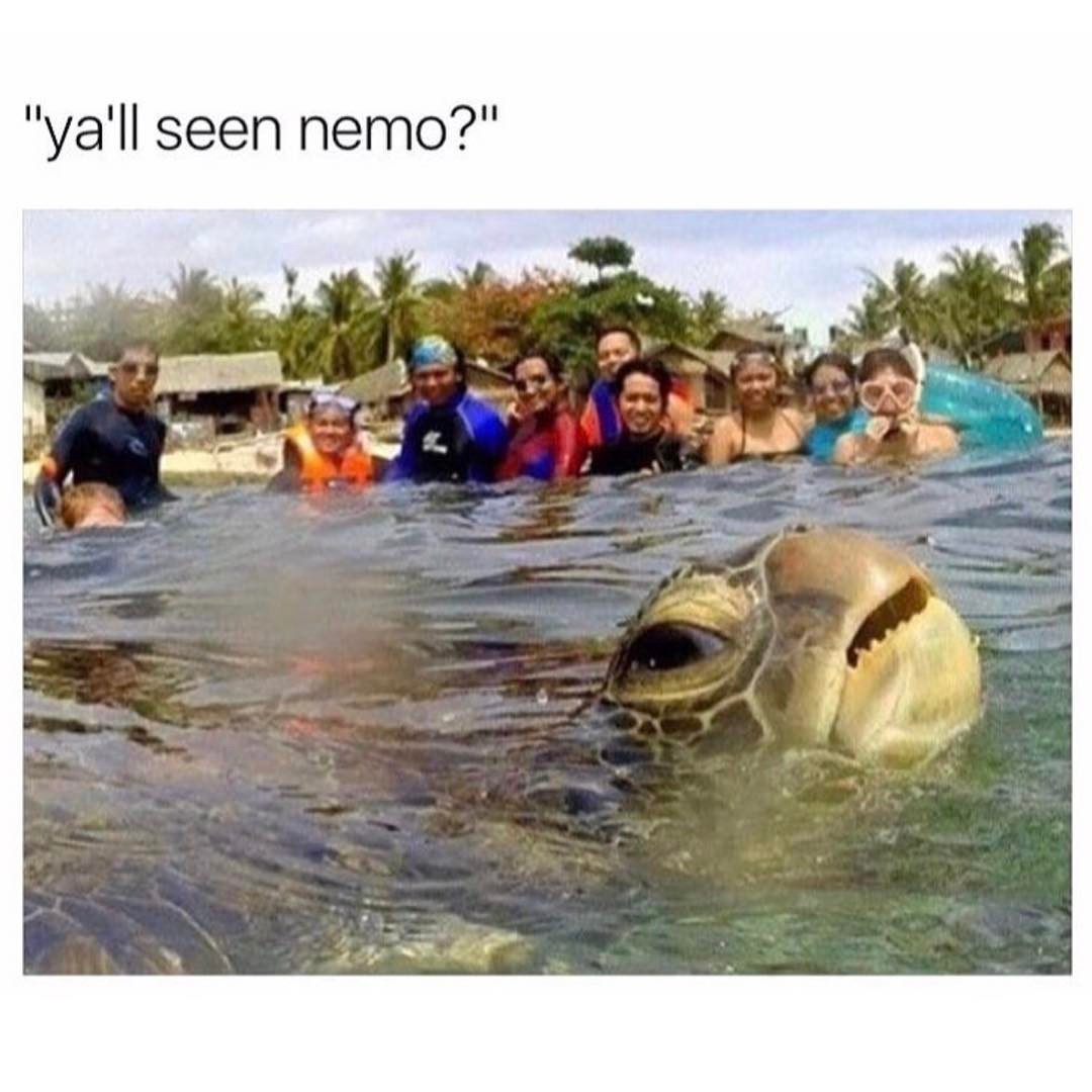 "Ya'll seen nemo?"