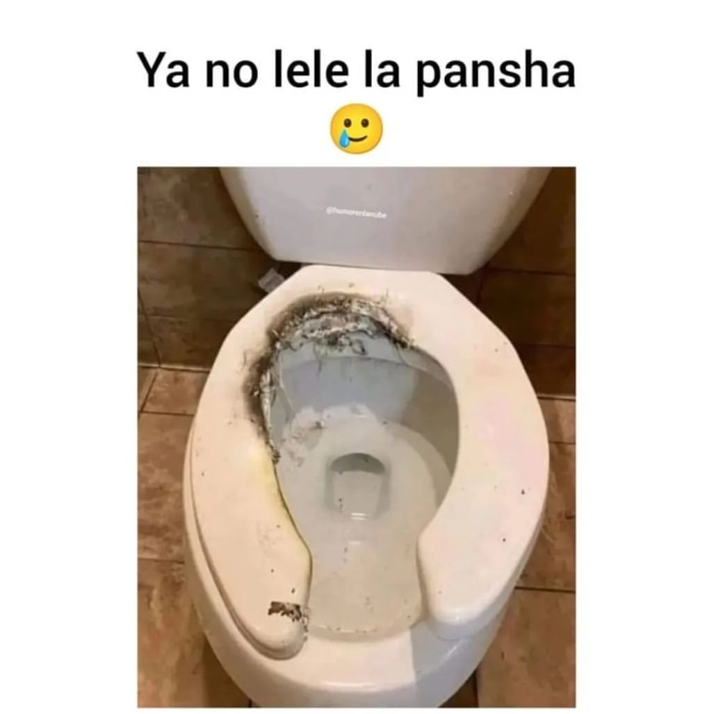 Ya no lele la pansha.