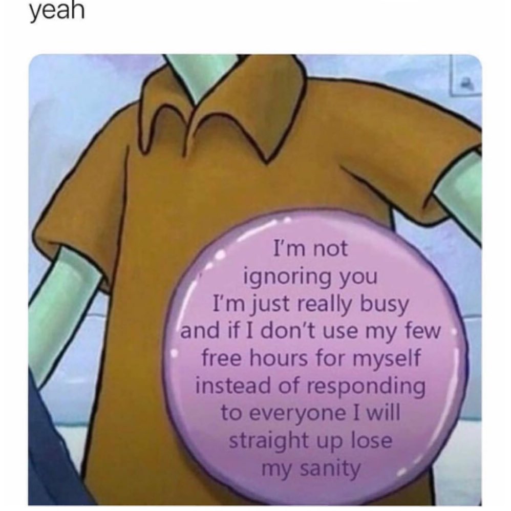 Yeah. I'm not ignoring you .I'm just really busy and if I don't use my few free hours for myself instead of responding to everyone I will straight up lose my sanity.