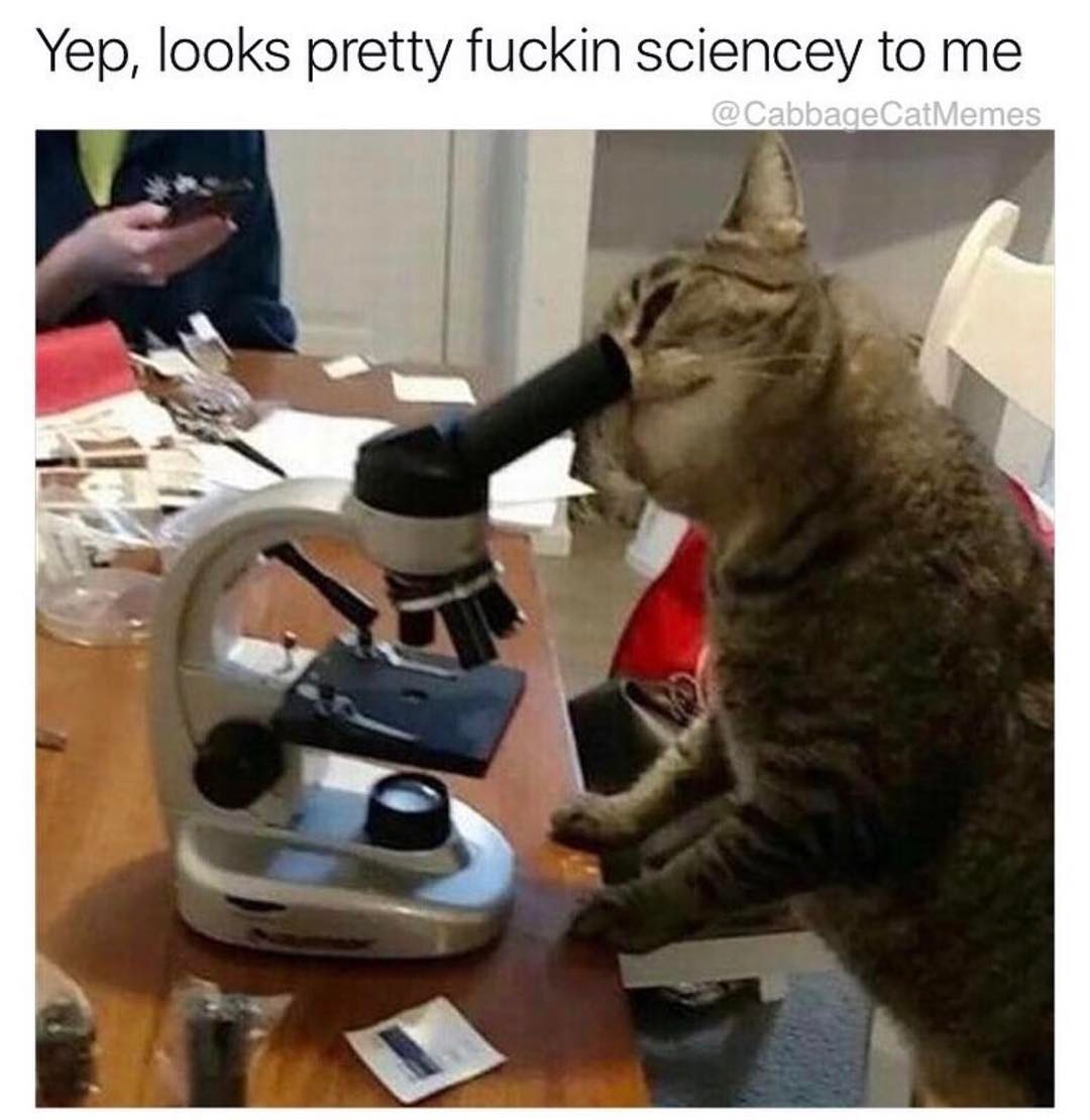 Yep, looks pretty fuckin sciencey to me.