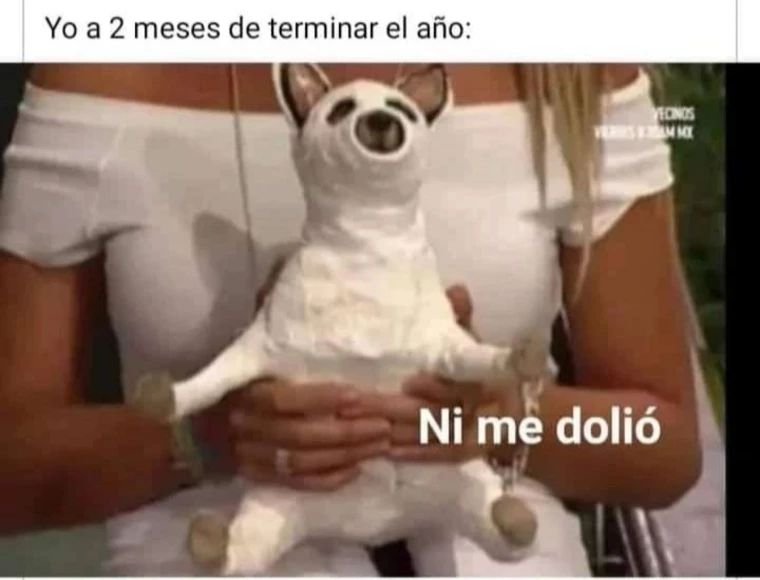 Yo a 2 meses de terminar el año: Ni me dolió.