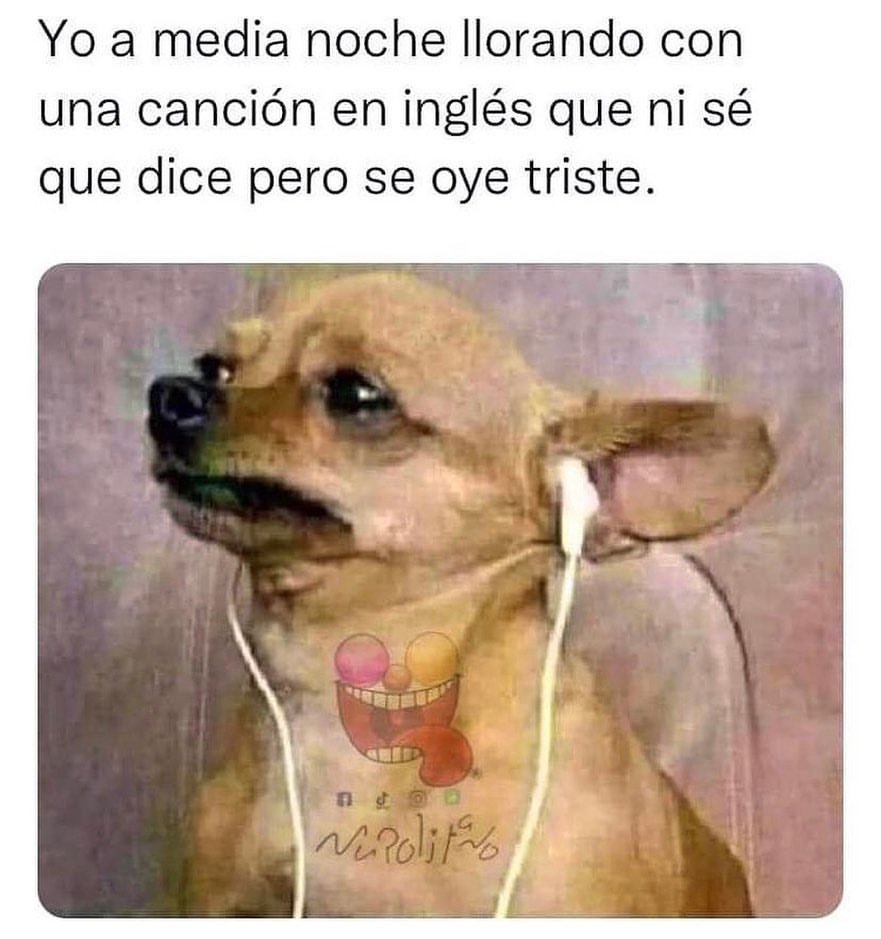 Yo tratando de dormir 8 horas en 3 horas. - Memes