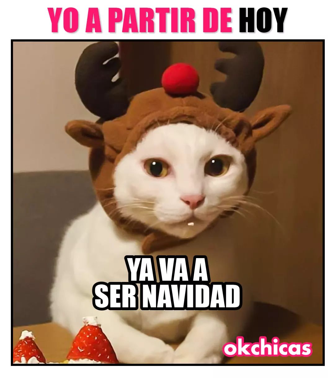 Yo A Partir De Hoy Ya Va A Ser Navidad Memes