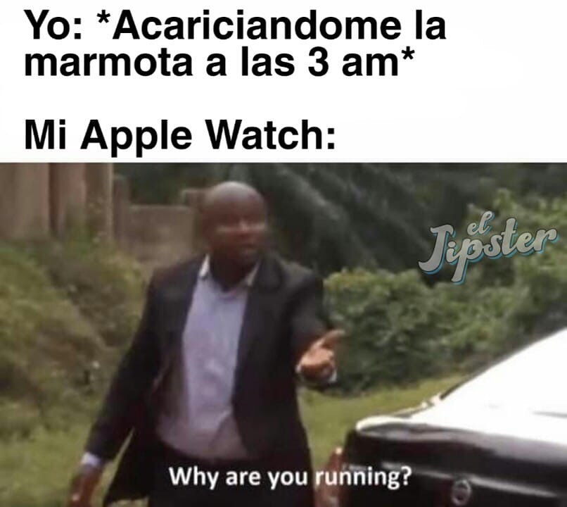 Yo: *Acariciándome la marmota a las 3 am*  Mi Apple Watch: Why are you running?