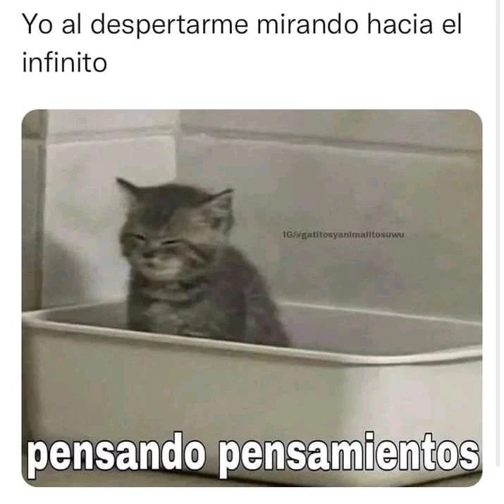 Yo al despertarme mirando hacia el infinito.  Pensando pensamientos.