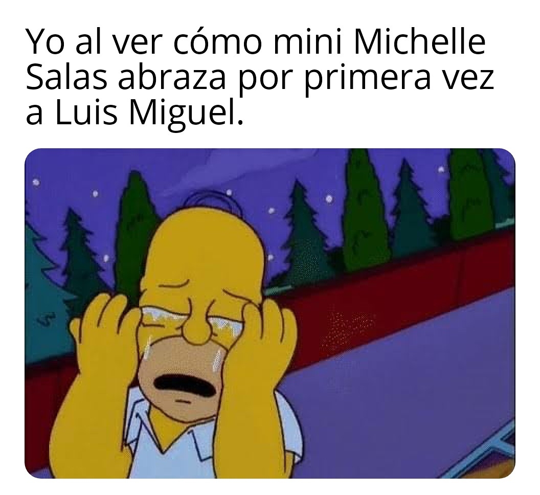 Yo al ver cómo mini Michelle Salas abraza por primera vez a Luis Miguel.