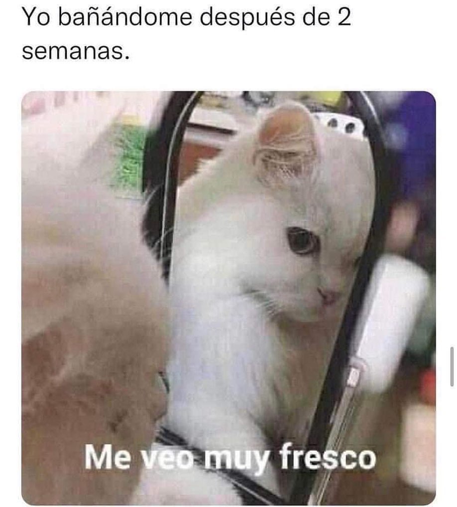 Yo bañándome después de 2 semanas.  Me veo muy fresco.