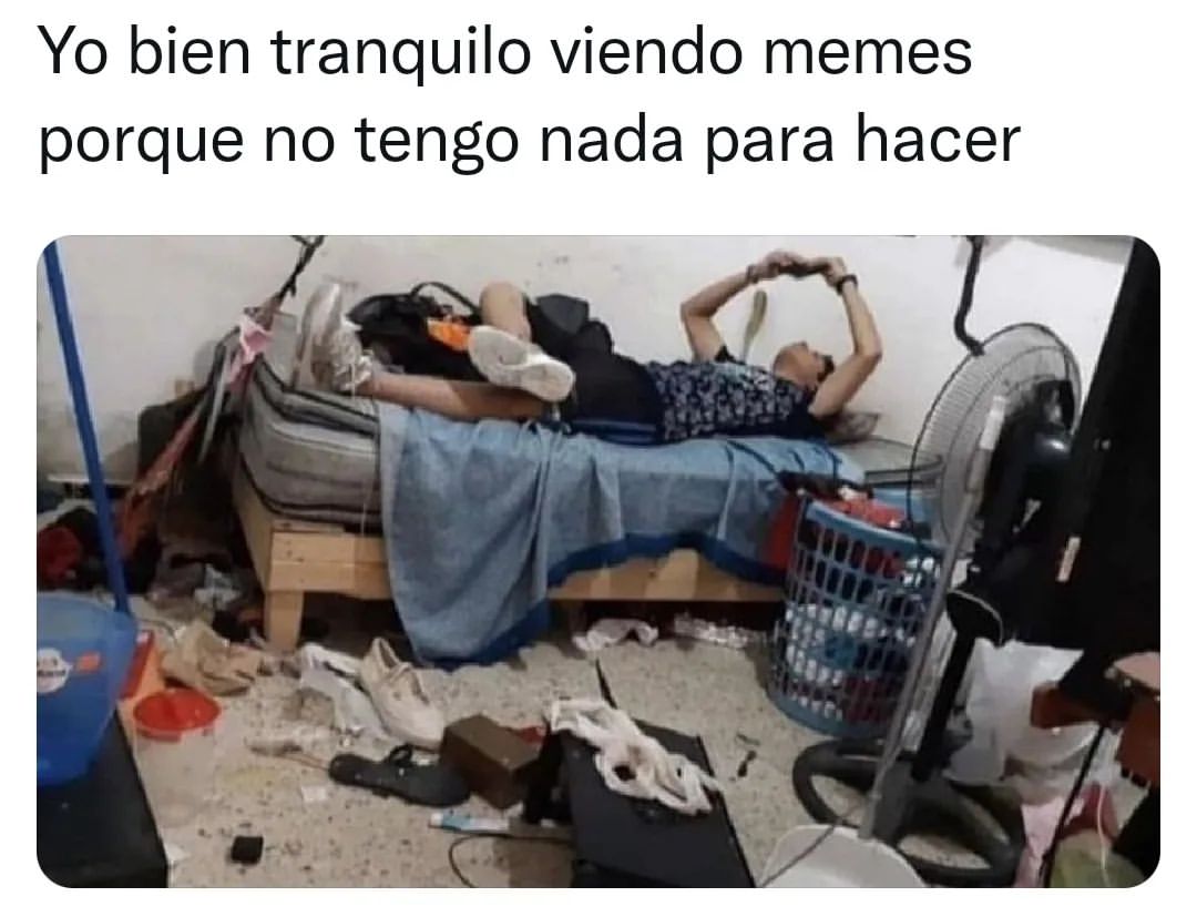 Yo bien tranquilo viendo memes porque no tengo nada para hacer.