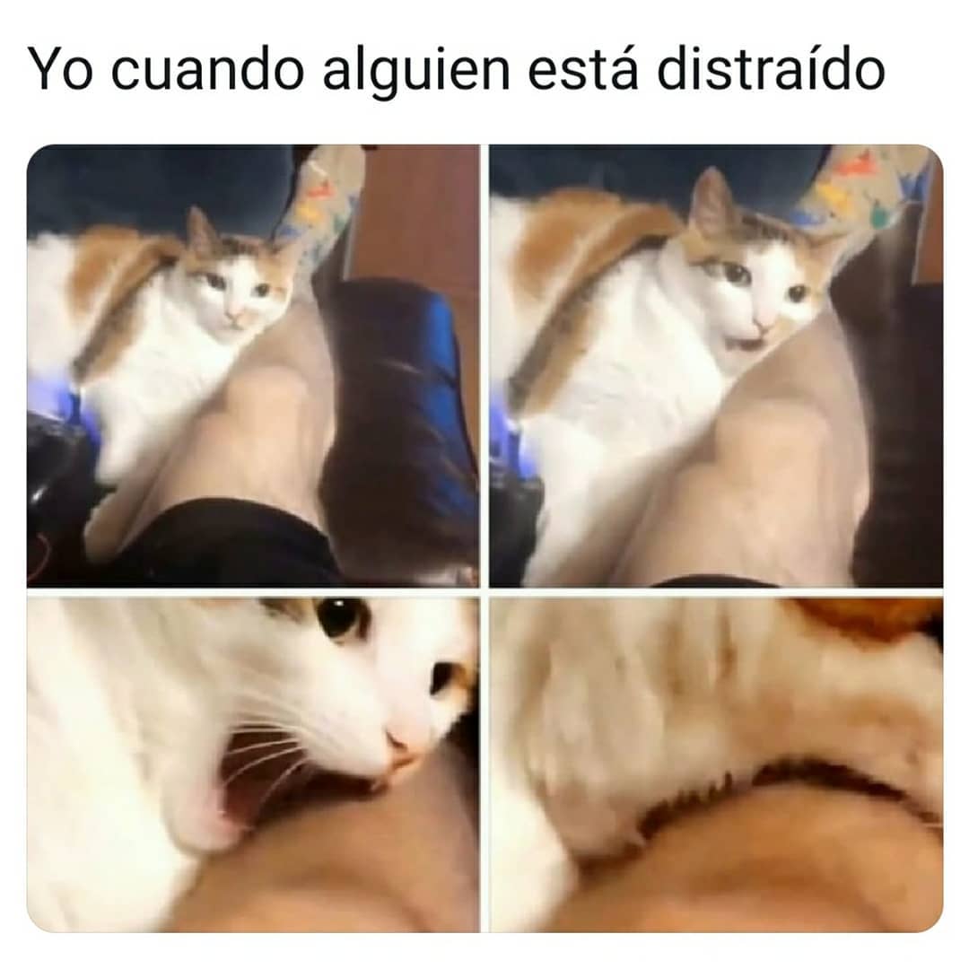 Yo cuando alguien está distraído.