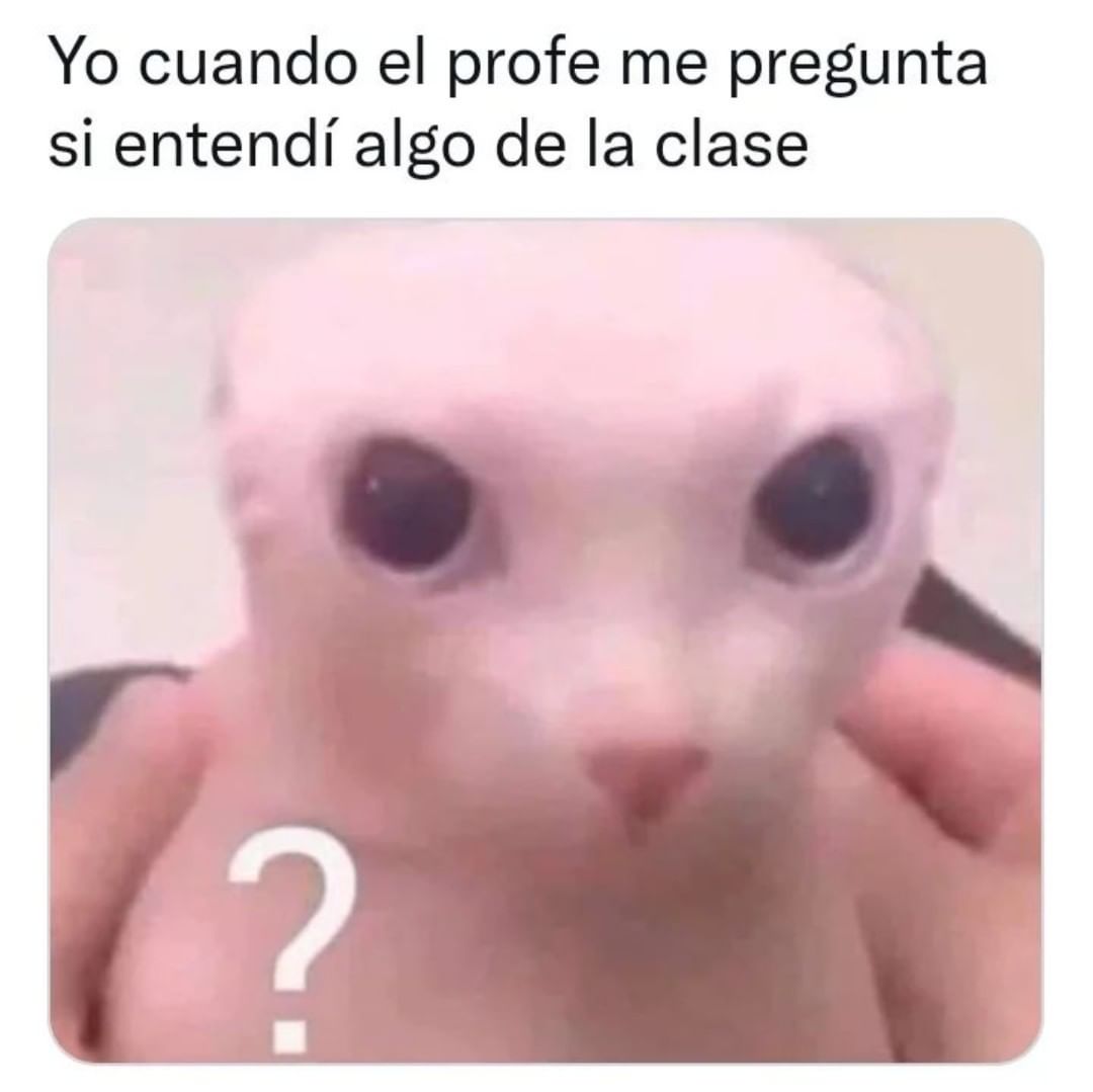 Yo cuando el profe me pregunta si entendí algo de la clase.