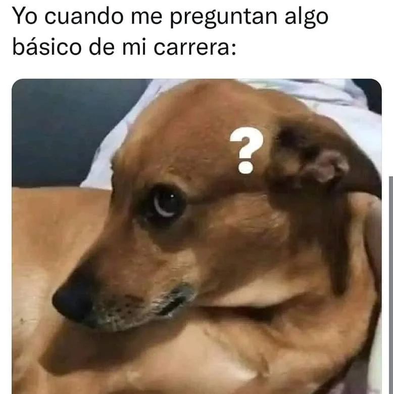 Yo cuando me preguntan algo básico de mi carrera: