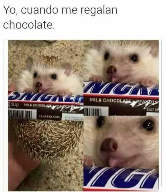 Yo, cuando me regalan chocolate.
