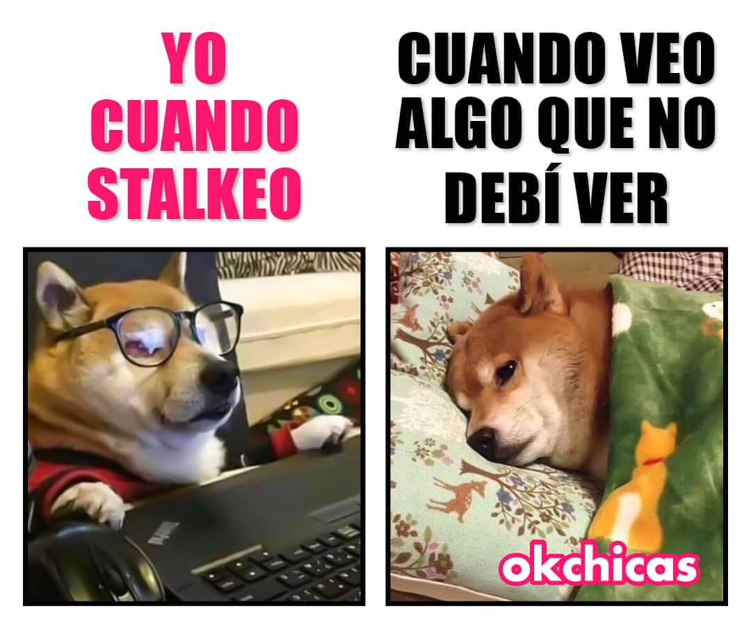 Yo cuando stalkeo. Cuando veo algo que no debí ver.