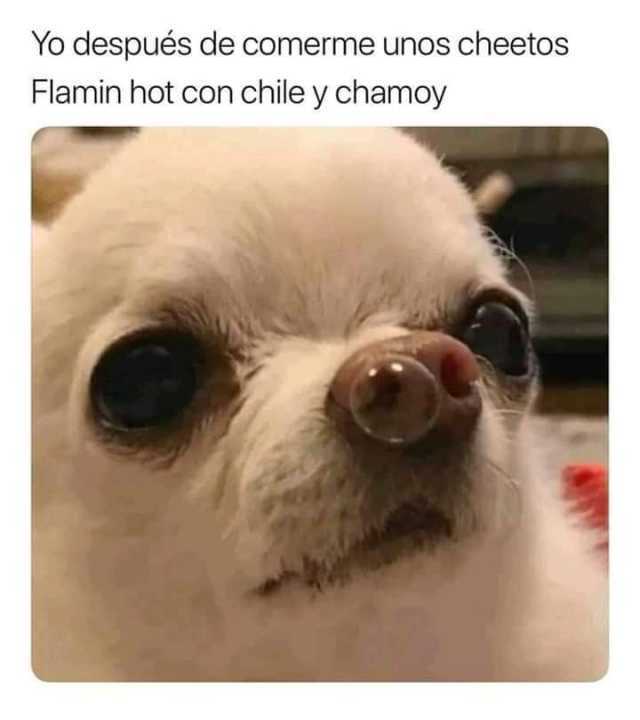 Yo después de comerme unos cheetos Flamin hot con chile y chamoy