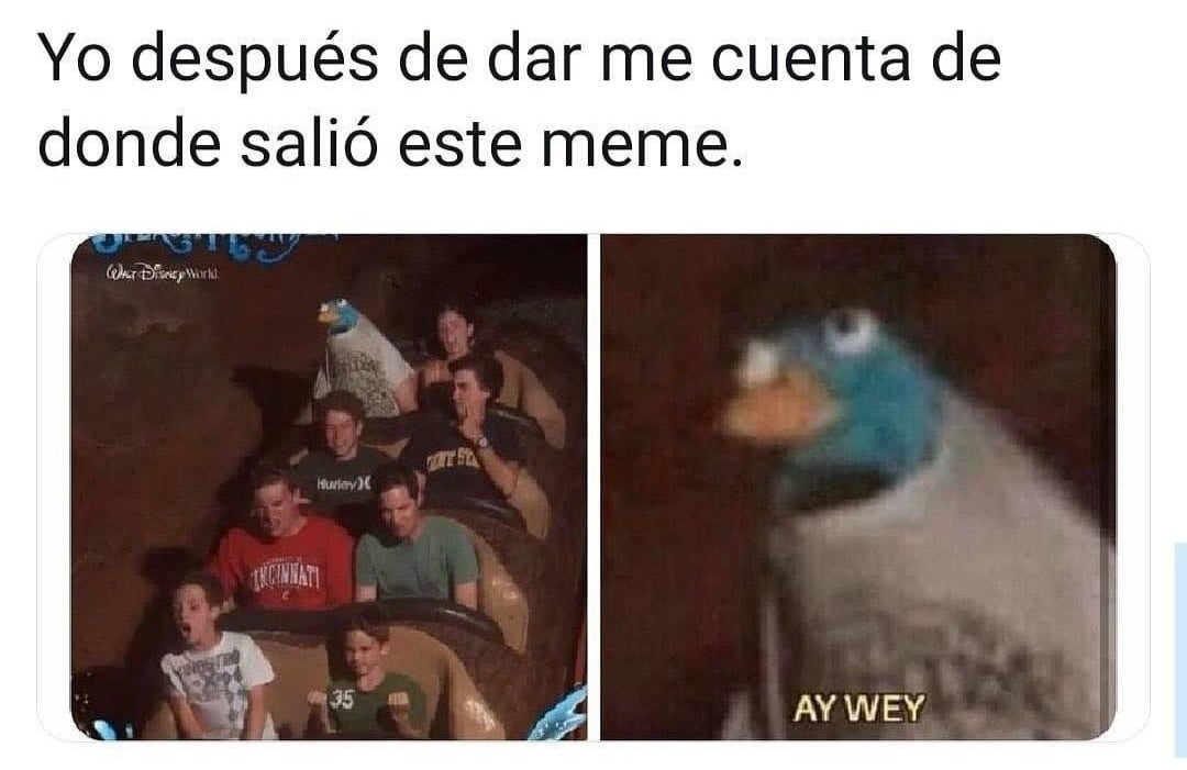 Yo Después De Dar Me Cuenta De Donde Salió Este Meme Ay Wey Memes 2402