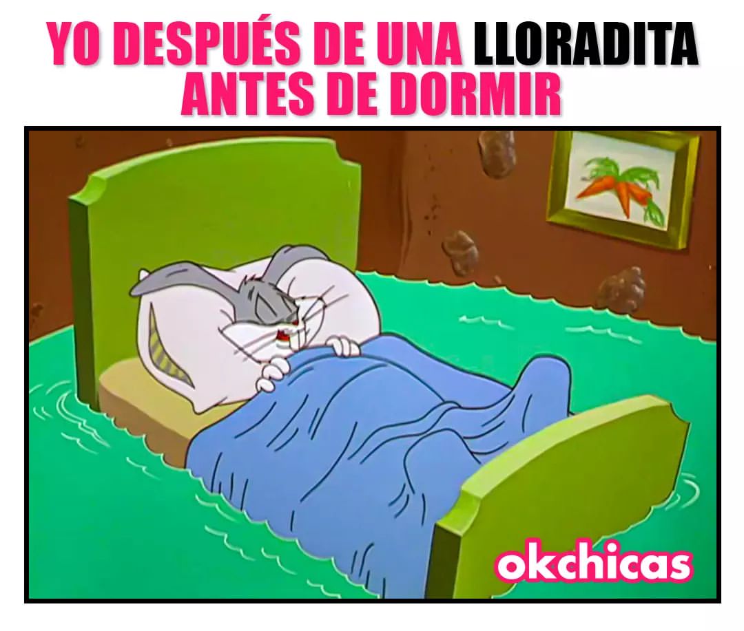 Yo después de una lloradita antes de dormir.