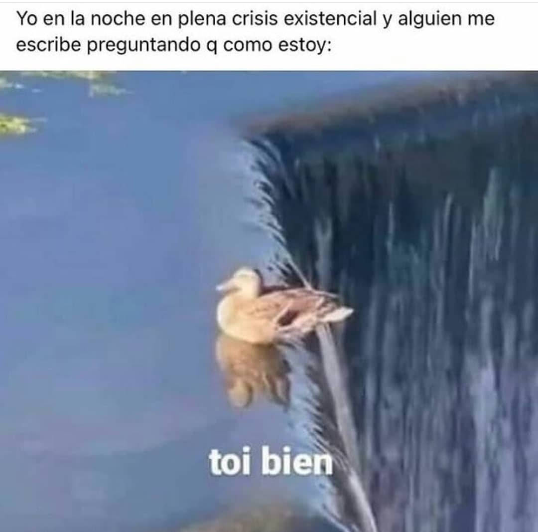 Yo en la noche en plena crisis existencial y alguien me escribe preguntando q como estoy: toi bien.