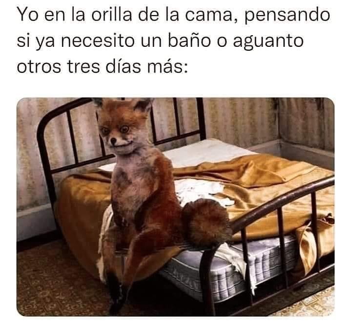 Yo en la orilla de la cama, pensando si ya necesito un baño o aguanto otros tres días más: