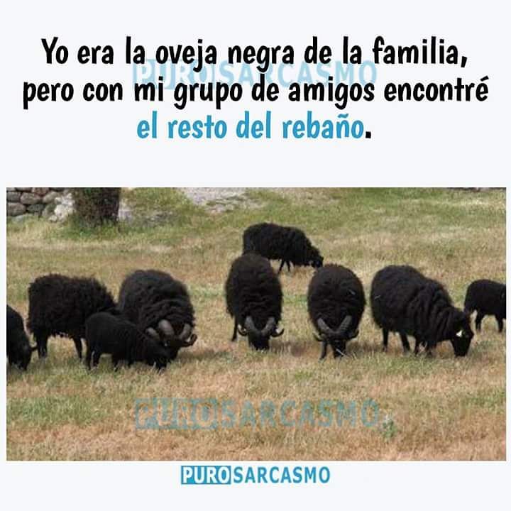 Yo era la oveja negra de la familia, pero con mi grupo de amigos encontré el resto del rebaño.