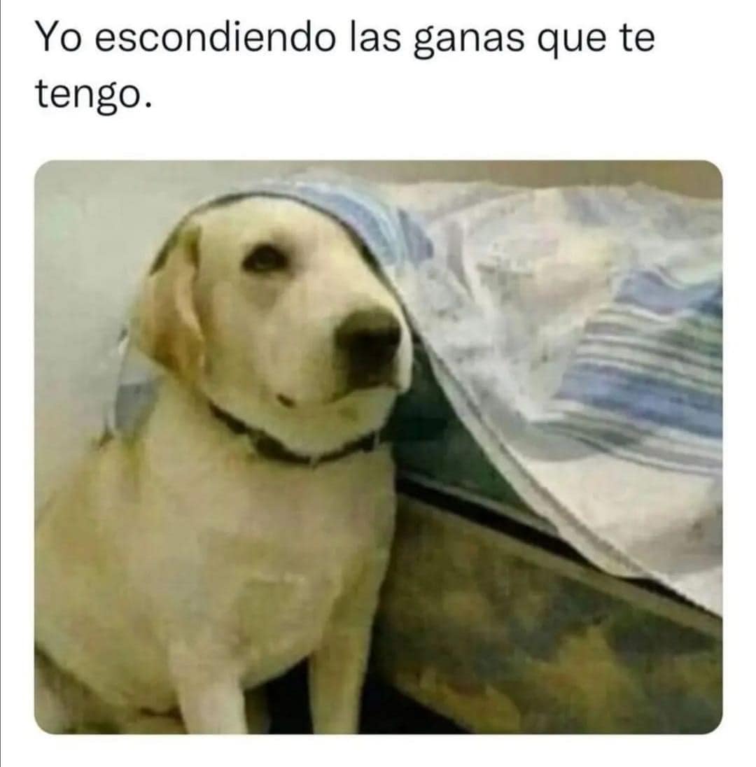 Yo escondiendo las ganas que te tengo.