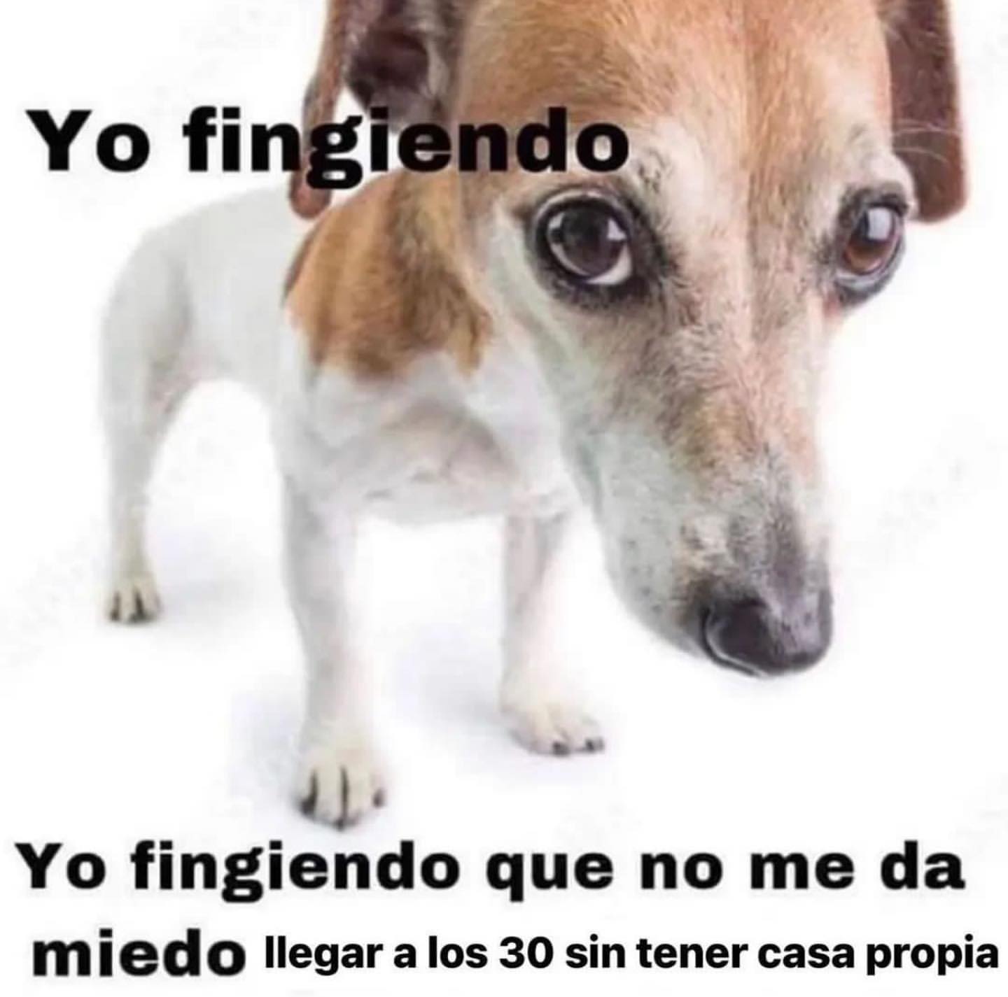 Yo fingiendo. Yo fingiendo que no me da miedo llegar a los 30 sin tener casa propia.