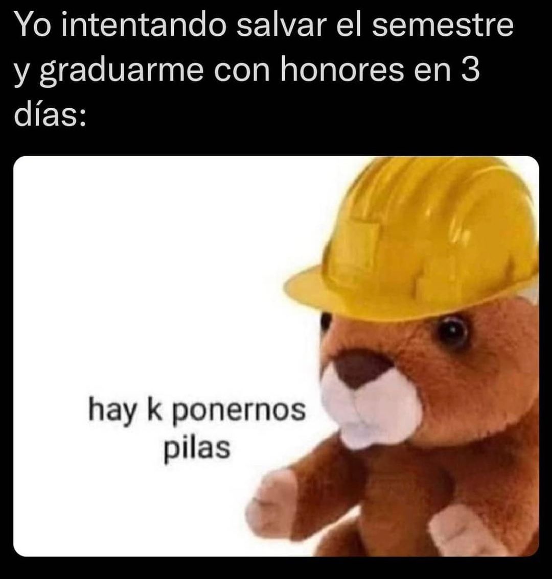 Yo Intentando Salvar El Semestre Y Graduarme Con Honores En D As Hay