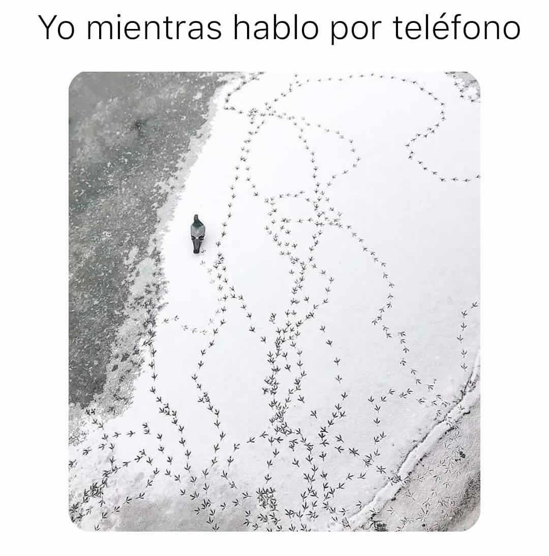 Yo mientras hablo por teléfono.