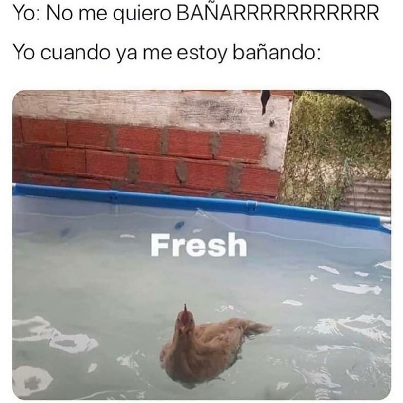 Yo: No me quiero bañarrrrrrrrrrr.  Yo cuando ya me estoy bañando: Fresh.