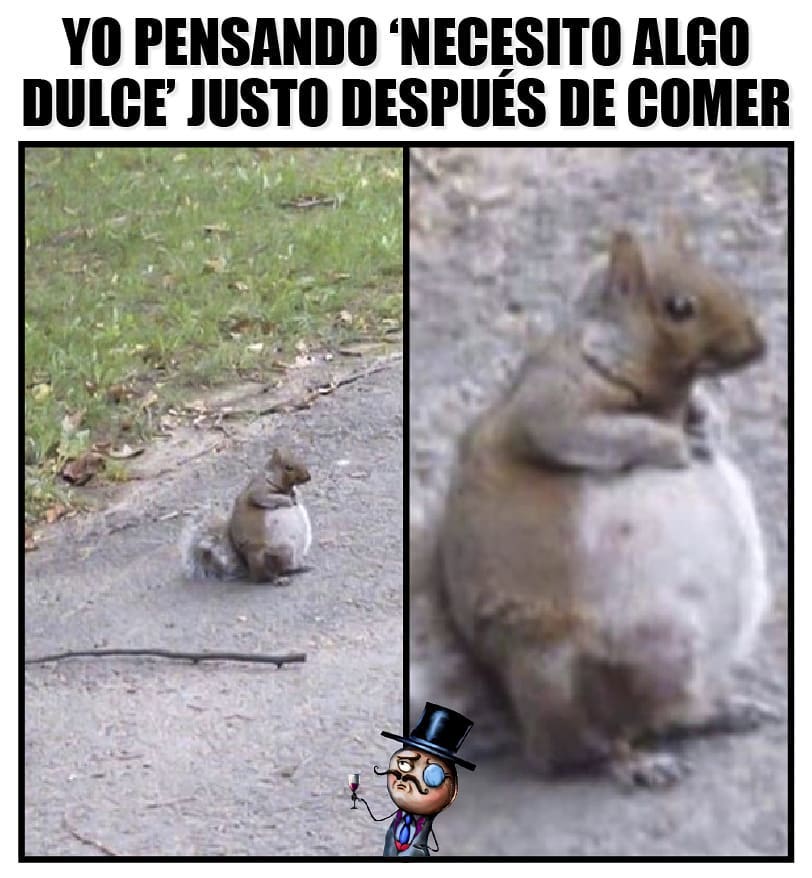 Yo pensando "Necesito algo dulce" justo después de comer.