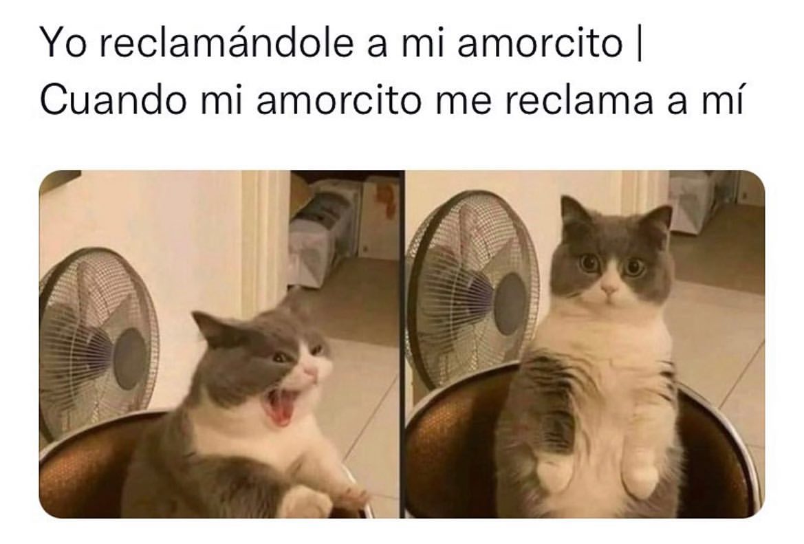 Yo reclamándole a mi amorcito. / Cuando mi amorcito me reclama a mí.