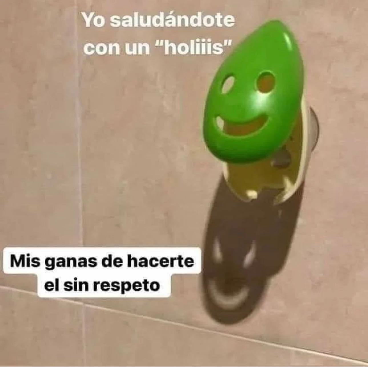 Yo saludándote con un "holiiis". Mis ganas de hacerte el sin respeto.